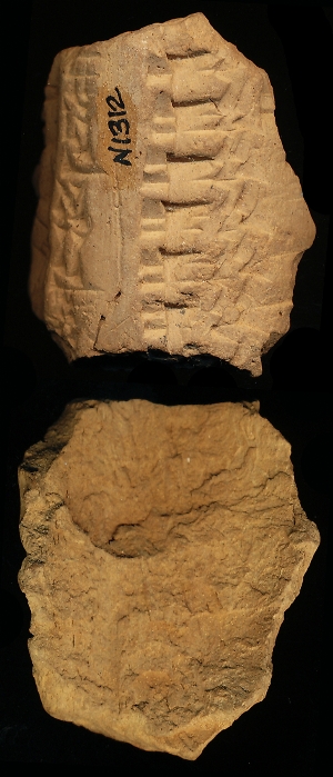 N1312