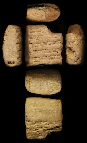 N1315