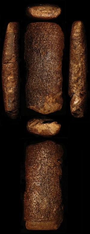 N1316