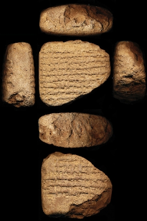 N1319