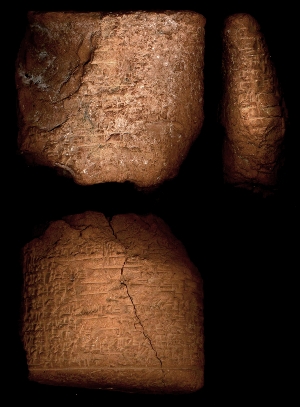 N1325