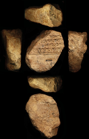 N1329