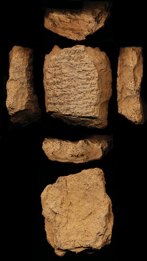 N1342