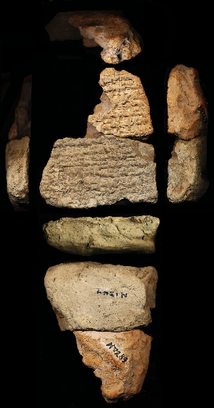 N1344