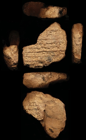 N1345
