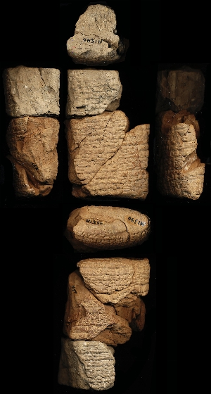 N1346