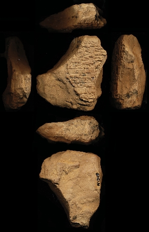 N1349