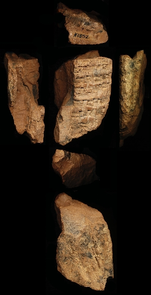 N1352