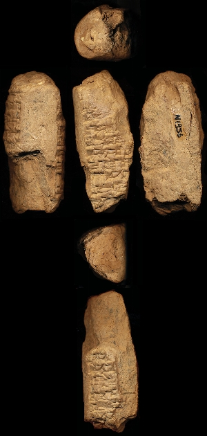 N1356