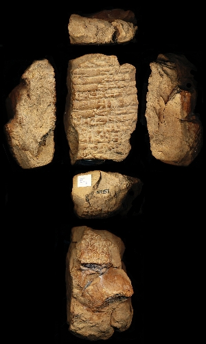 N1357