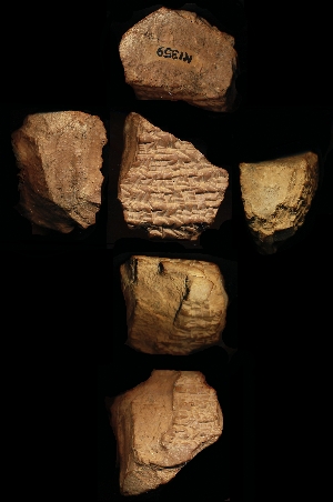 N1359