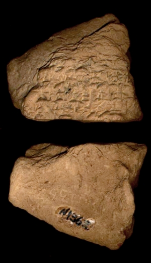 N1362