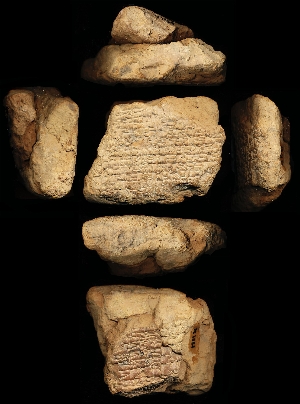N1369