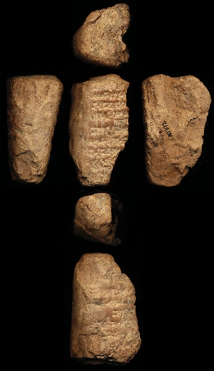N1372