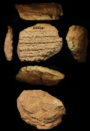 N1375