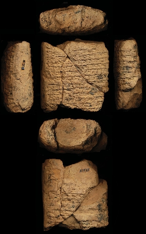 N1378