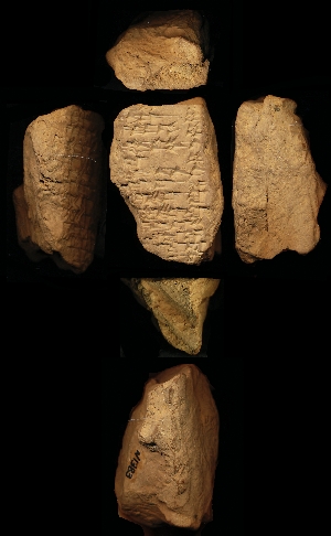 N1383