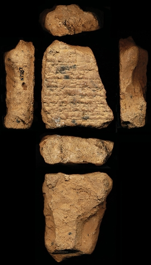 N1387