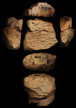 N1388