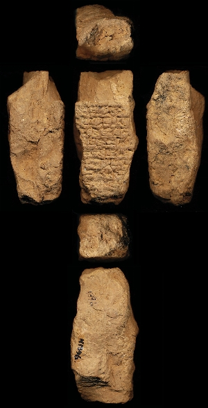 N1396