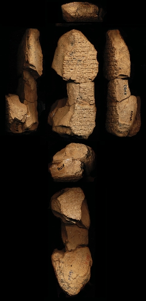 N1391