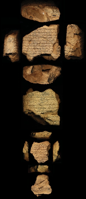 N1409