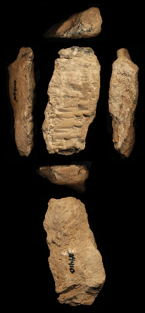 N1410