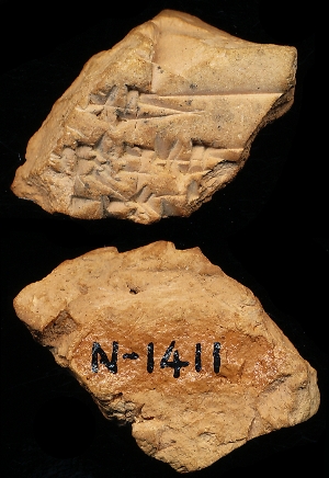 N1411