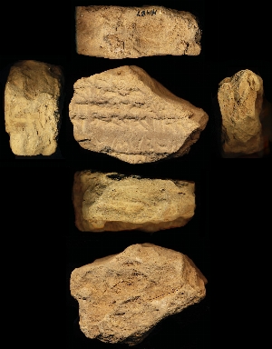 N1437