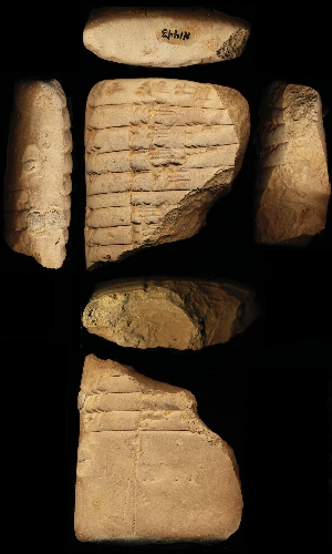 N1443
