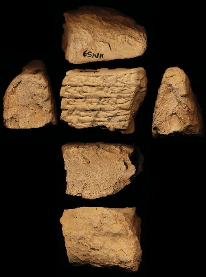 N1459