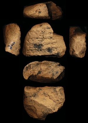 N1466