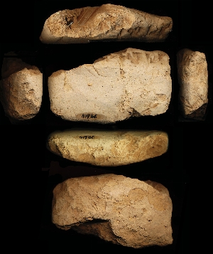 N1486