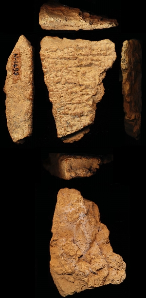 N1493