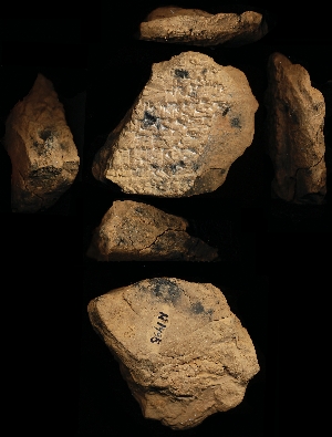 N1495