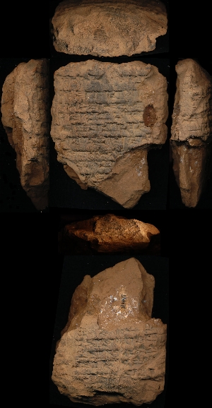 N1497