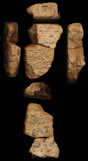 N1499