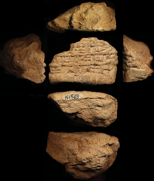 N1529