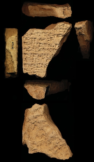 N1534
