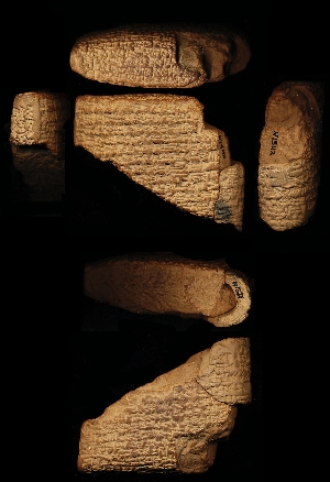 N1542