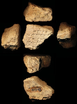 N1548