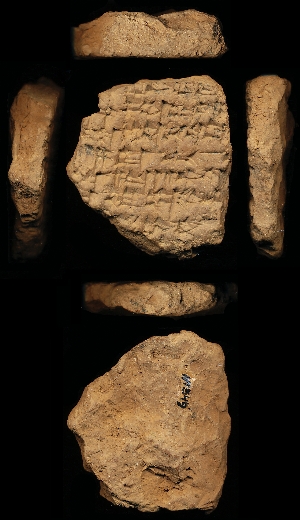 N1549