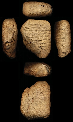 N1562