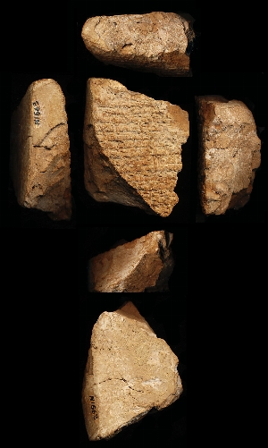 N1563