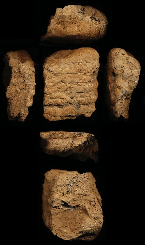 N1569