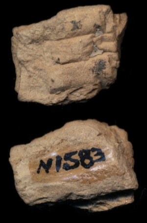 N1583