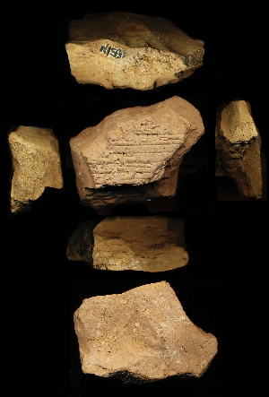 N1591