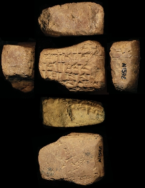 N1592
