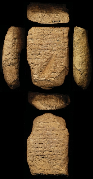 N1593