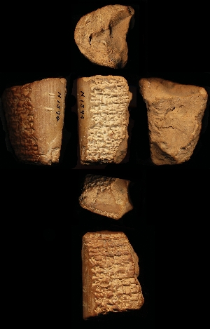 N1594